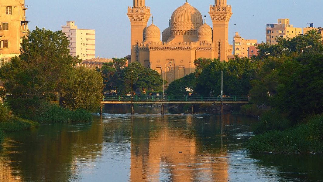 Sharqia Archaeological Tour from Cairo